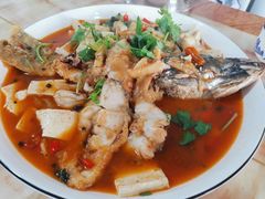 红烧狗鱼-煲来饱去冷水鱼