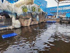 -华夏文旅海洋公园