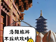 -一记洛阳菜·糖醋小排·水席(十字街店)