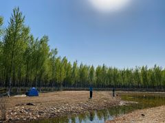-东郊湿地公园