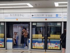 -东方体育中心(地铁站)