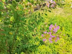 -苏州碑刻博物馆