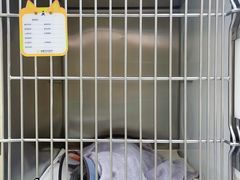 -瑞鹏宠物医院犬猫全科(真大分院)