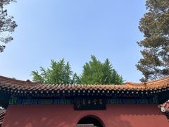 -戏马台景区