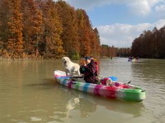 -上海海湾国家森林公园