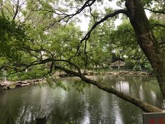 -瀛洲公园