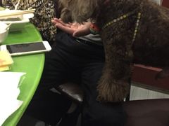 -颜氏双江清水鱼一养身火锅(磁器口店)