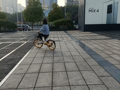 -大家乐(深圳中信店)