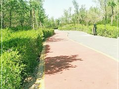 -小绿谷公园