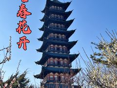 -上海方塔园