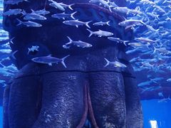 -波塞冬海底世界