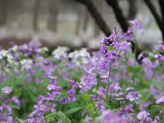 -白塘生态植物园