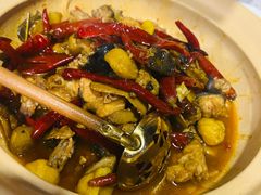 -印象鲵宴·张家界地标美食名片(溪布街店)