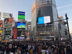 -涩谷区