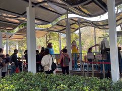 -荔湾区儿童公园