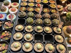 -瑞虹新天地月亮湾