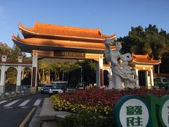 -深圳仙湖植物园