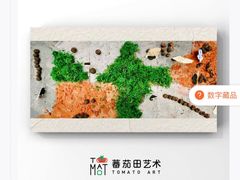 -蕃茄田艺术•美术绘画 •硬笔书法(滨江海威领界店)