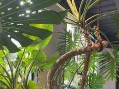 -J Create城市露营咖啡·简餐·宠物(上海动物园店)