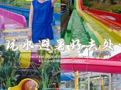 -美的鹭湖探索王国