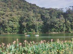 -广州市石门国家森林公园