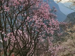 -九皇山景区
