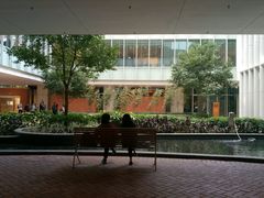 -香港大学