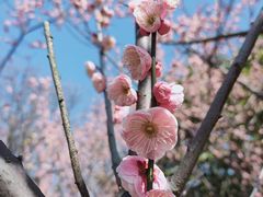 -白塘生态植物园