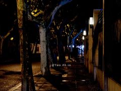 -Pie Bird(新闸路店)