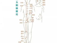 -鹤祥宫·影院足道·SPA连锁(苹果园店)