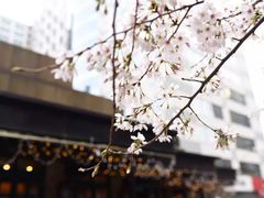 -玛格萝妮比萨屋(四平店)