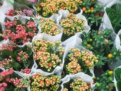 -三旗百汇商品城