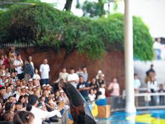 -海合安成都极地海洋公园