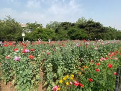 -国家植物园南园