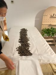 -姜美堂·蒸姜除湿の纤体美颜馆