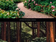 -上海共青森林公园