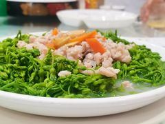 -寻味顺德·南记酒家·传统顺德菜·鱼生(广源路店)
