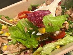 -SHUBO蔬小盒(三里屯店)