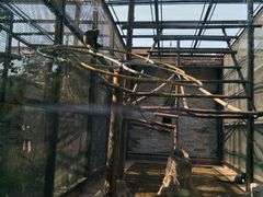 -石家庄市动物园