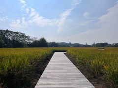 -良渚古城遗址公园