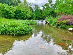 环境-一江春水·杭帮臻宴(三台山店)