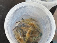 -粮心小农·大头虾亲子生态园(长发店)