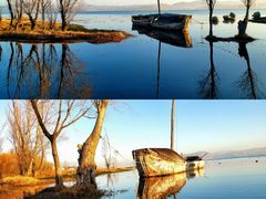 -洱海月湿地公园