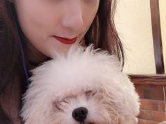 -more than meow吴止猫主题餐厅(承德 中船汇店)