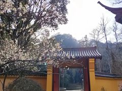 -五泄景区