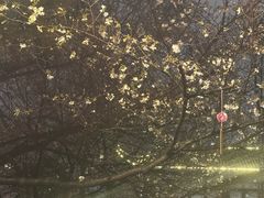 -堤角公园