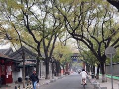 -北京国子监胡同