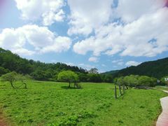 -大水川景区