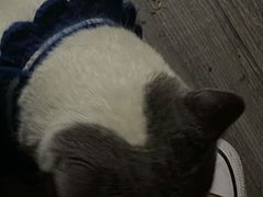 -后院儿·精酿·塔罗Happy Bar