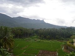 -七仙岭温泉国家森林公园